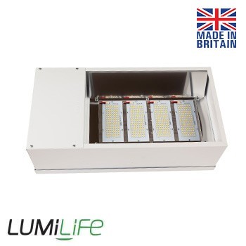 LED Low Bays
